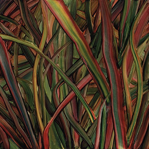 Where Wilderness Grows by Gengahr