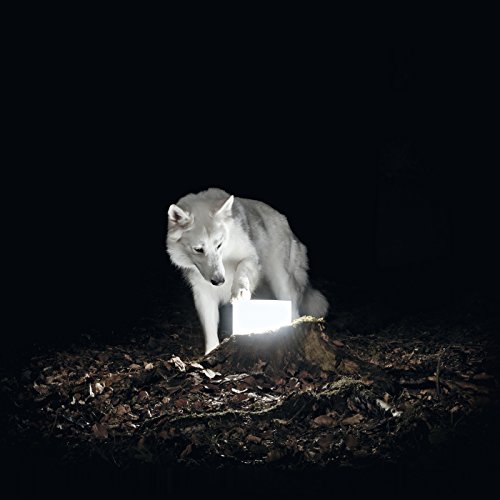 Surveillance by Vanishing Life
