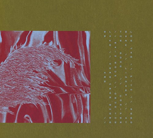 Here From Where We Are by Pariah