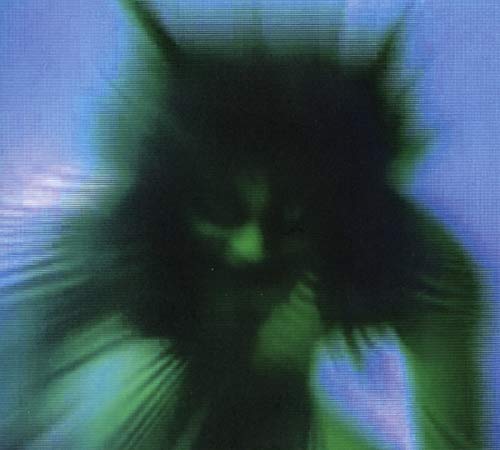 Safe In The Hands Of Love by Yves Tumor
