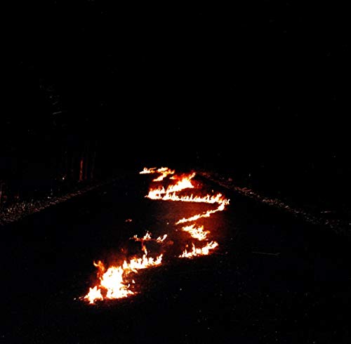 Battle Lines by Bob Moses
