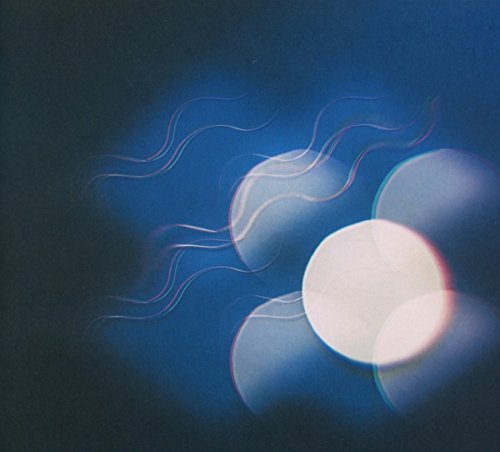 Thunder Follows the Light by Mutual Benefit Album Cover