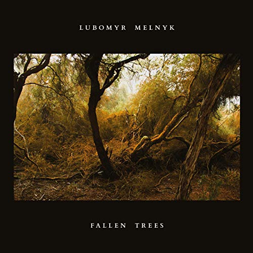 Fallen Trees by Lubomyr Melnyk