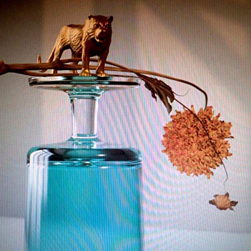 Gallipoli by Beirut