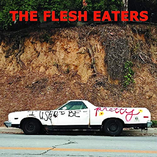 I Used To Be Pretty by The Flesh Eaters Album Cover