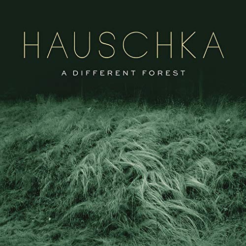 A Different Forest by Hauschka