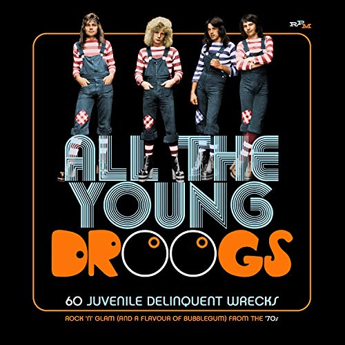 All the Young Droogs: 60 Juvenile Delinquent Wrecks, Rock'N'Glam (And a Flavour of Bubblegum) from the 70's by Various Artists