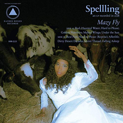 Mazy Fly by Spellling