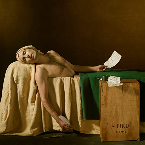 My Finest Work Yet by Andrew Bird Album Cover