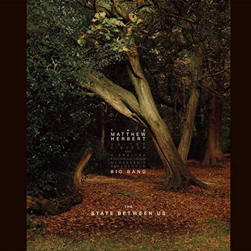 The State Between Us by Matthew Herbert Big Band Album Cover
