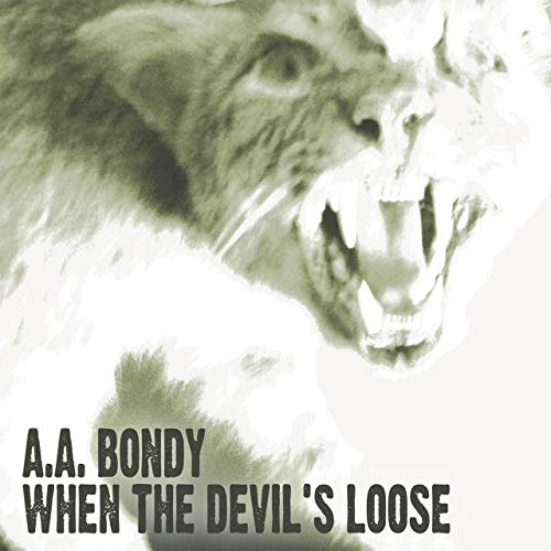 Enderness by A.A. Bondy