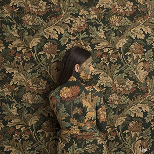 In Plain Sight by Honeyblood