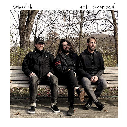 Act Surprised by Sebadoh