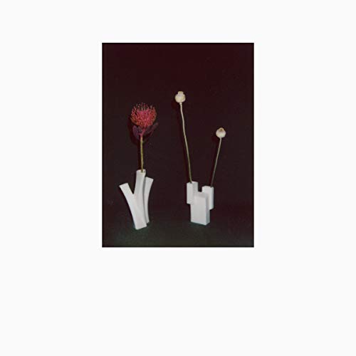 The Flower and the Vessel by Félicia Atkinson