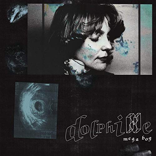 Dolphine by Mega Bog