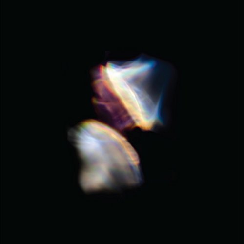 Blossoms by Emptyset