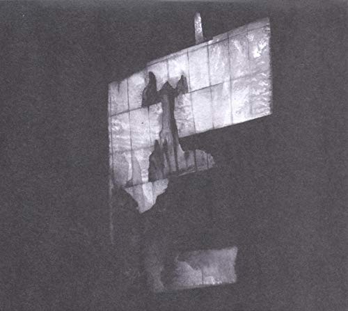 There Is No Year by Algiers