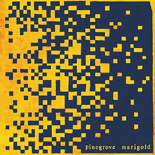 Marigold by Pinegrove Album Cover