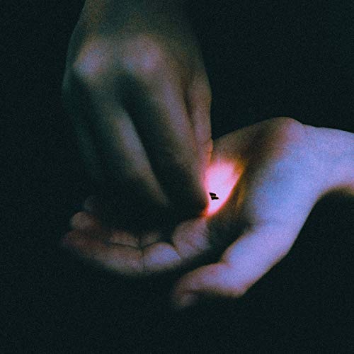 Stray by Bambara