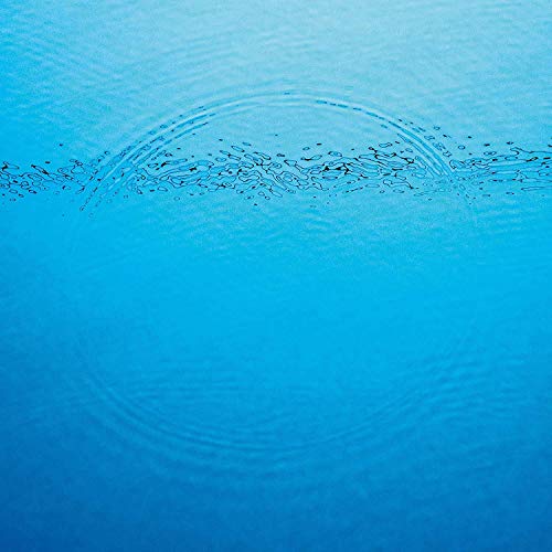 Suddenly by Caribou