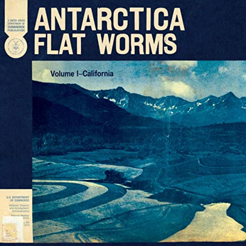 Antarctica by Flat Worms
