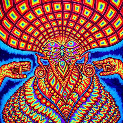 The Universe Inside by The Dream Syndicate Album Cover