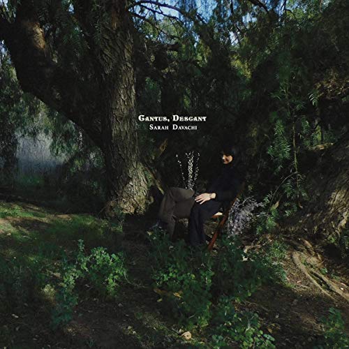 Cantus Descant by Sarah Davachi