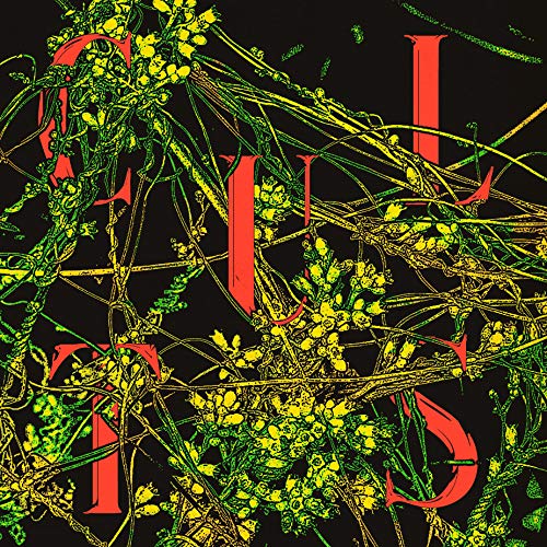 Host by Cults Album Cover