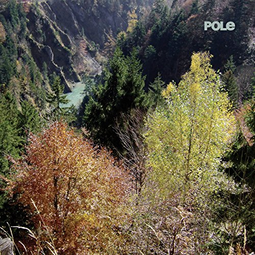 Wald by Pole