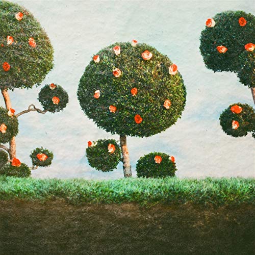 Painting the Roses by Midnight Sister Album Cover