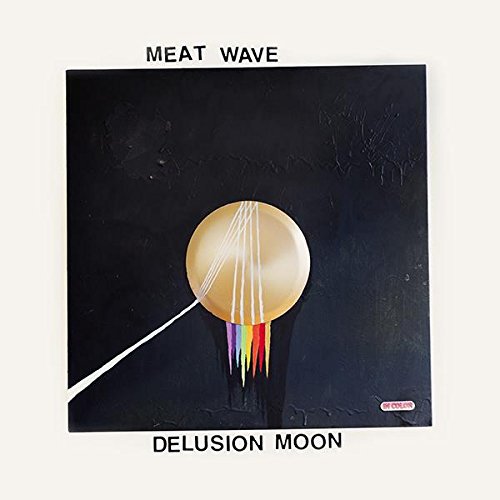 Delusion Moon by Meat Wave