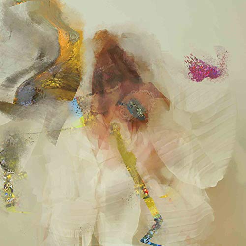 Head of Roses by Flock of Dimes Album Cover