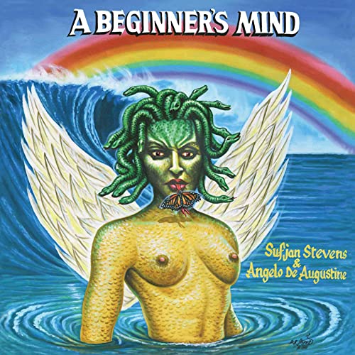 A Beginner's Mind by Sufjan Stevens