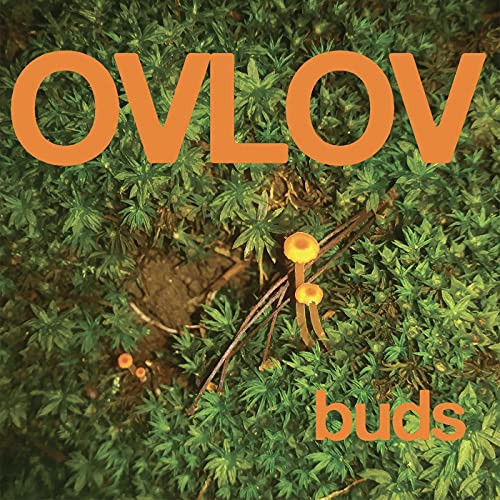 Buds by Ovlov