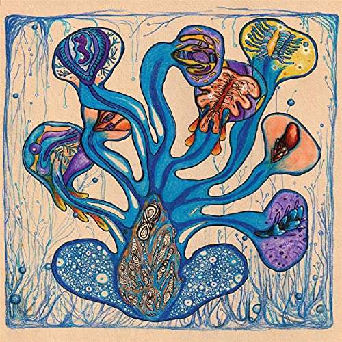 Fleuves De L Ame by Houeida Hedfi