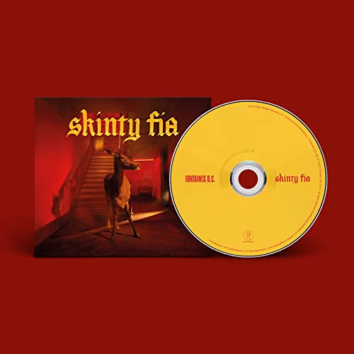 Skinty Fia by Fontaines D.C.