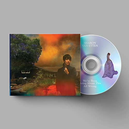 We've Been Going About This All Wrong by Sharon Van Etten