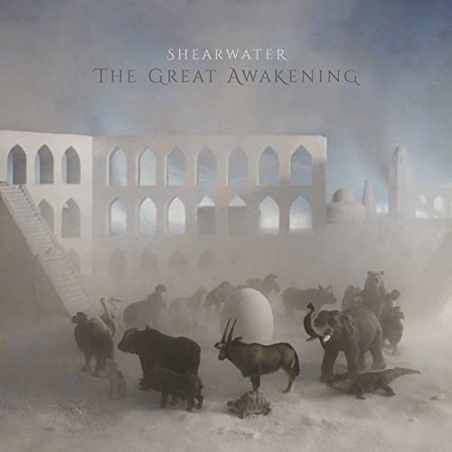 The Great Awakening by Shearwater
