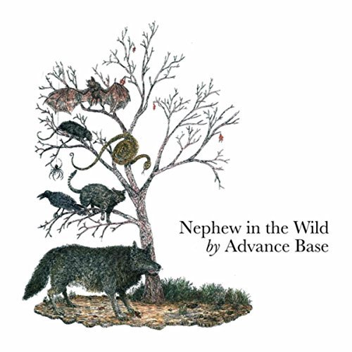 Nephew in the Wild by Advance Base