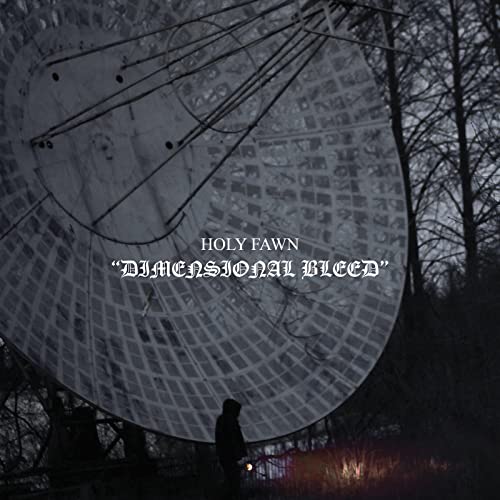 Dimensional Bleed by Holy Fawn