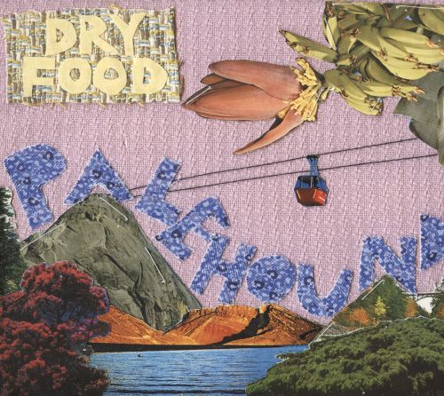 Dry Food by Palehound