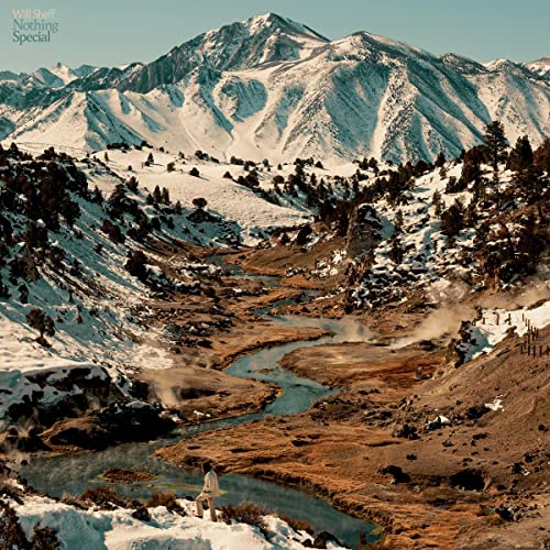 Nothing Special by Will Sheff