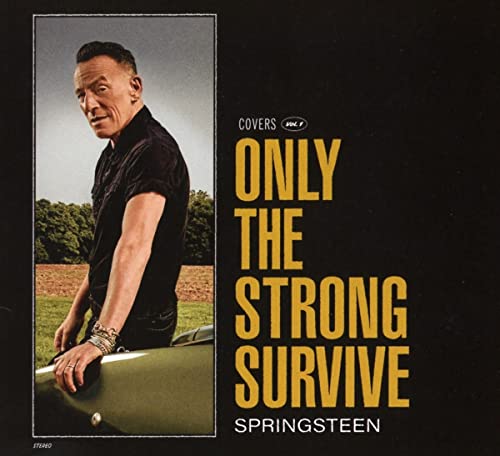 Only the Strong Survive by Bruce Springsteen