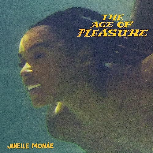 The Age of Pleasure by Janelle Monáe
