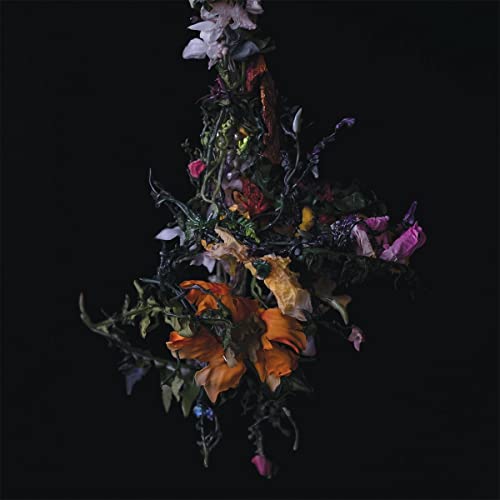 nature morte by BIG|BRAVE