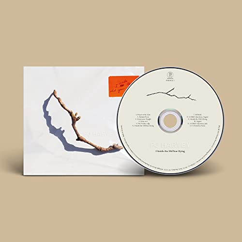 I Inside the Old Year Dying by PJ Harvey