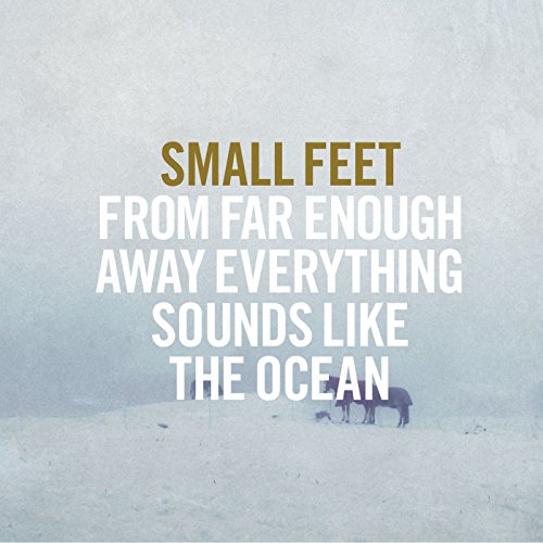 From Far Enough Away Everything Sounds Like the Ocean by Small Feet Album Cover