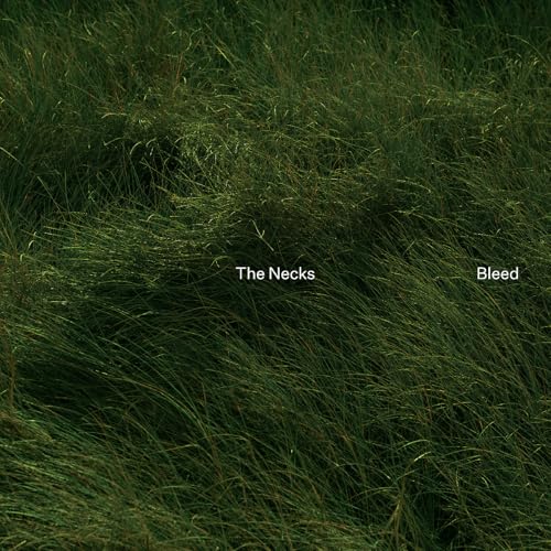 Bleed by The Necks