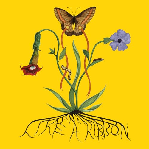 Like A Ribbon by John Glacier