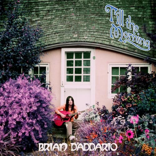 Till the Morning by Brian D'Addario